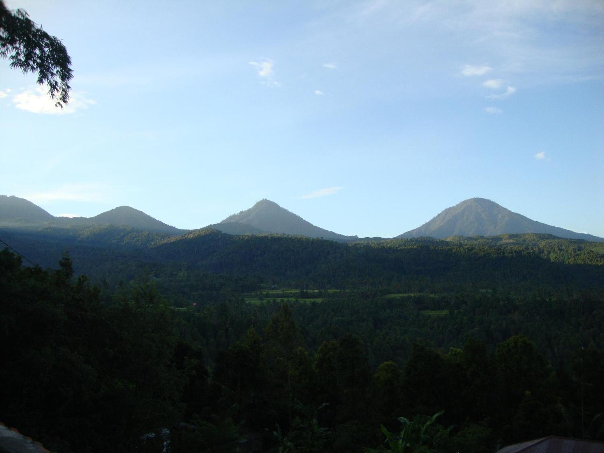 Edy Homestay Munduk  Exterior photo